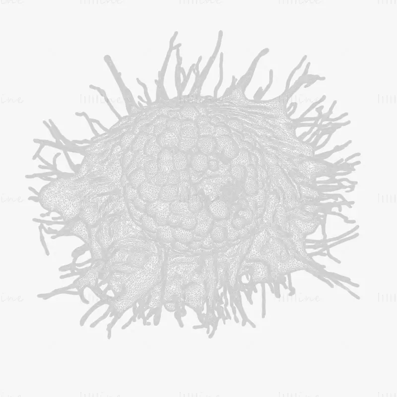 Cancer Cell Tumor OBJ STL 3DS FBX C4D Blend 3D Model File