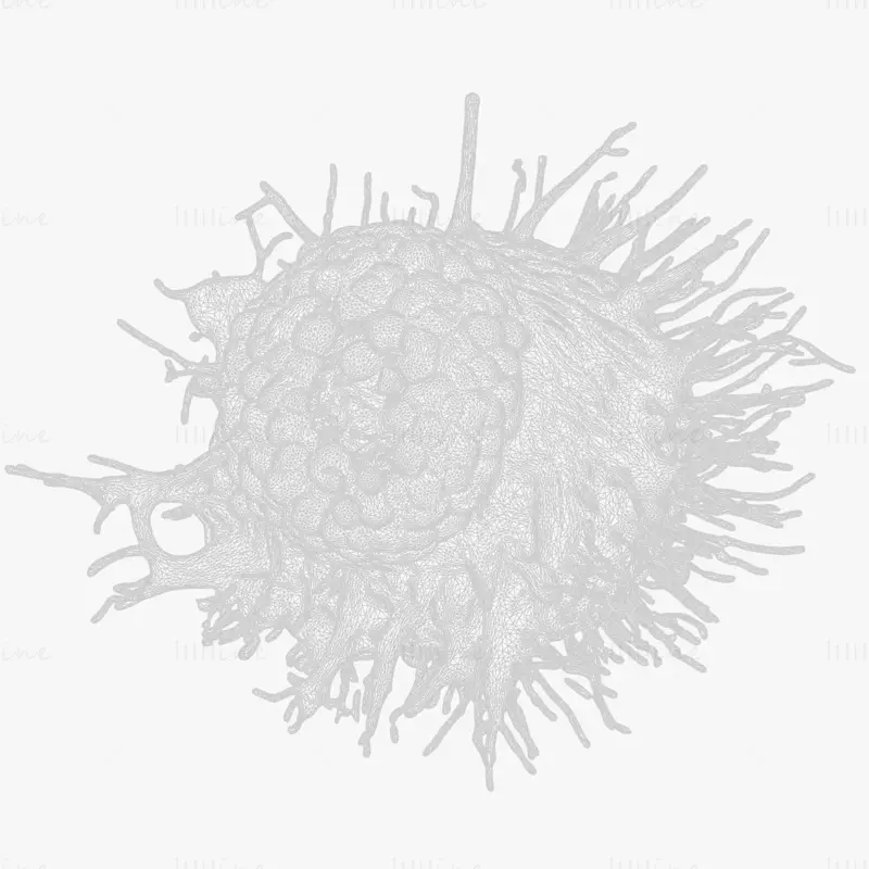 Cancer Cell Tumor OBJ STL 3DS FBX C4D Blend 3D Model File