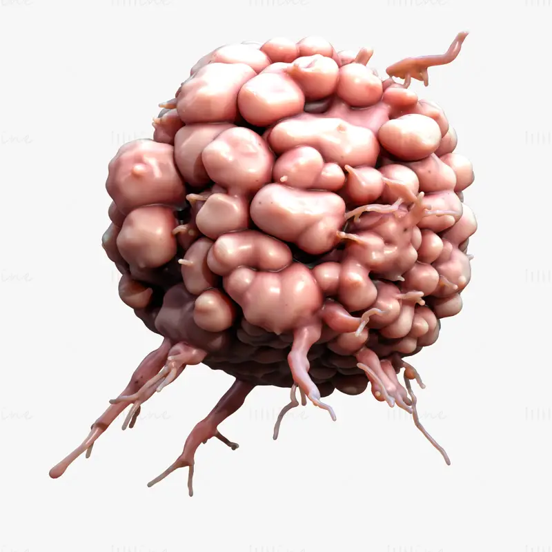 3D model vědy o rakovinných buňkách a nádorech