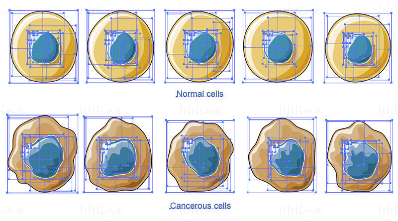 Cancerous cells vector