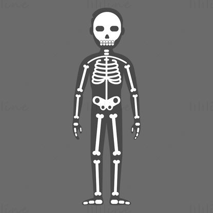 Illustrazione vettoriale del sistema scheletrico adulto del fumetto
