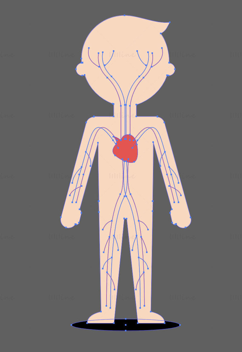 Cartoon Child Circulatory System vector illustration