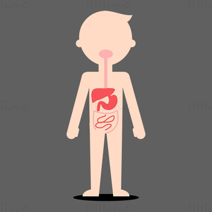Cartoon Child digestive system vector illustration