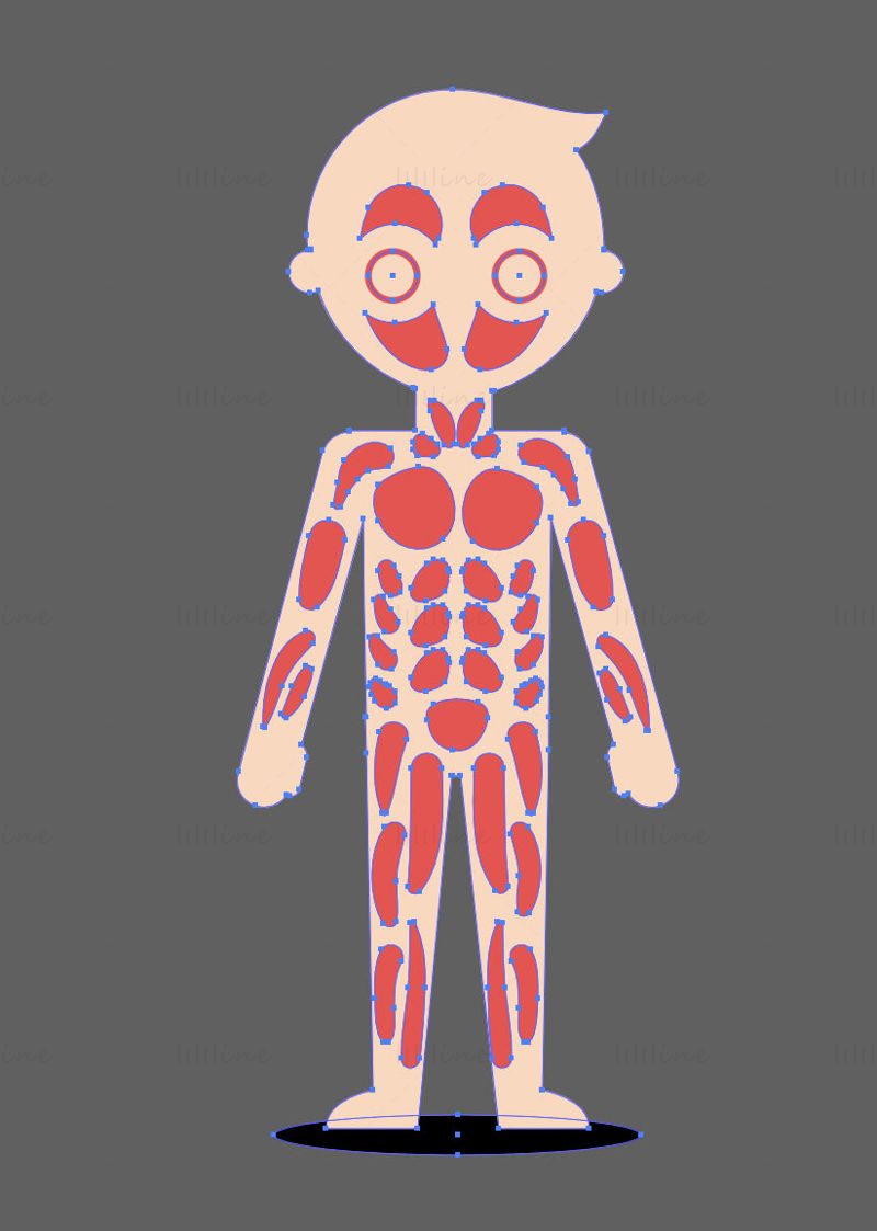 Cartoon Child muscular system vector illustration