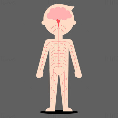 Cartoon Child nervous system vector illustration