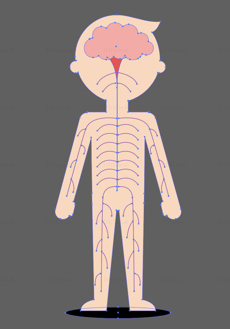 Cartoon Child nervous system vector illustration