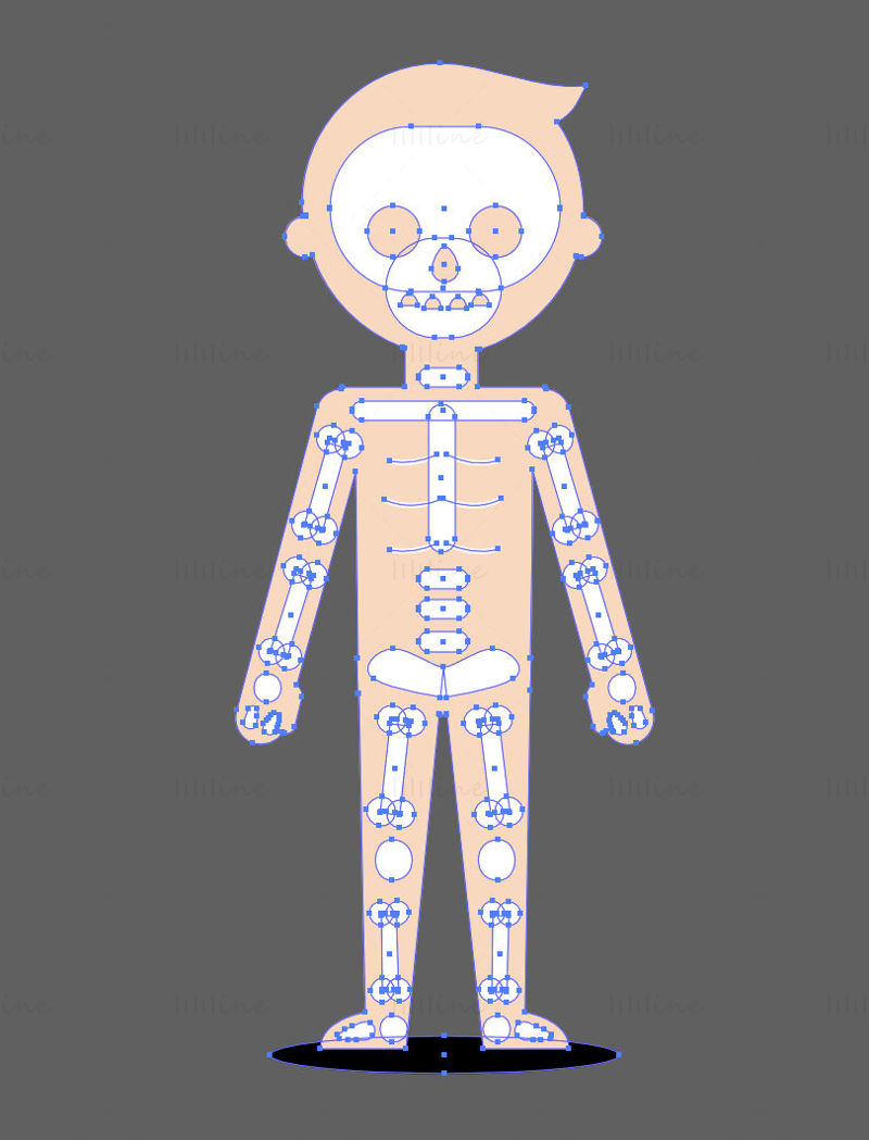Cartoon Child skeletal system vector illustration