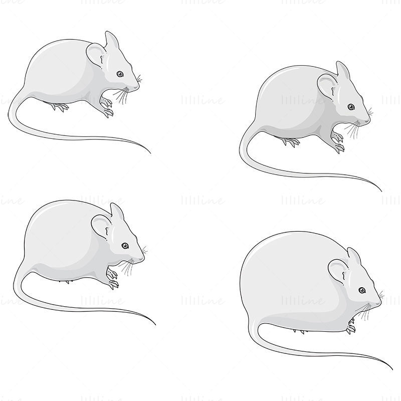 Cartoon fat mouse vector