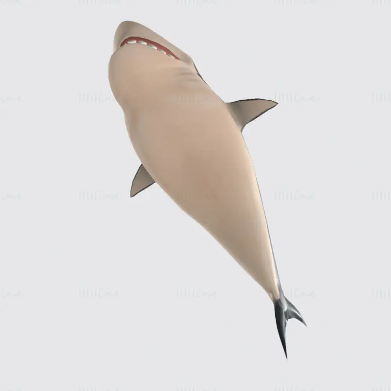 Modello di stampa 3D dello squalo del fumetto