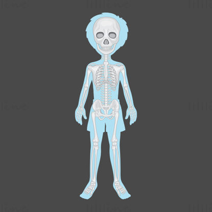 Cartoon Skeleton vector illustration