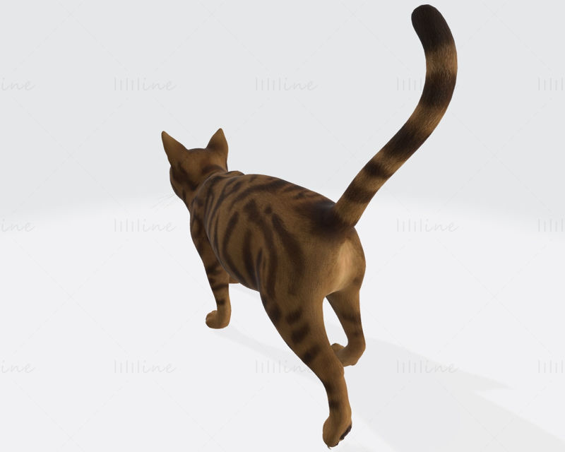 Modelo Cat 3D Pronto para Imprimir