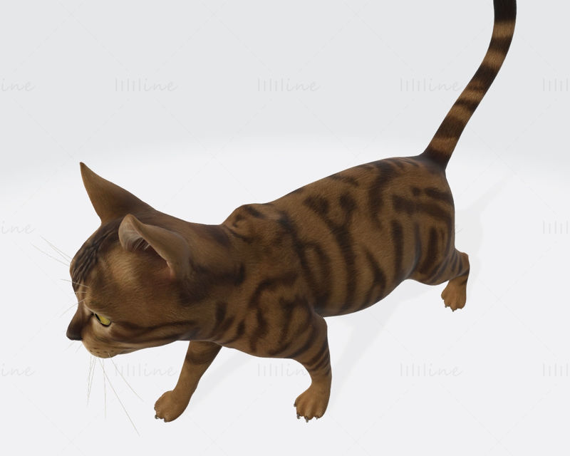 Baskıya Hazır Cat 3D Modeli