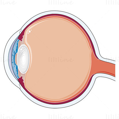 Cataract vector illustration