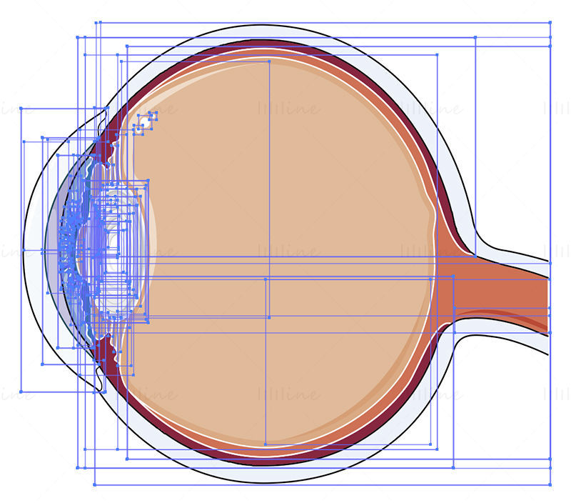 Cataract vector illustration