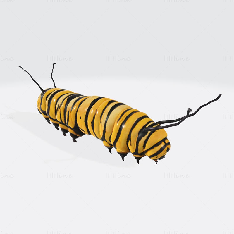 Caterpillar 3D Model Ready to Print
