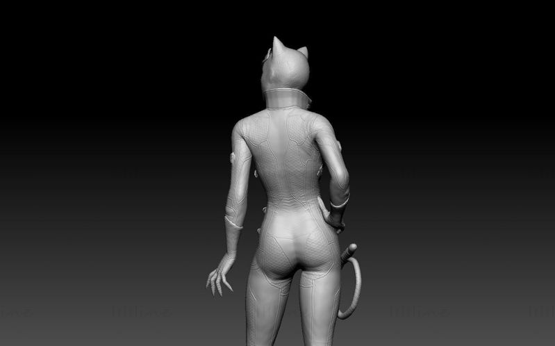 Catwoman Arkham 3D Printing Model STL