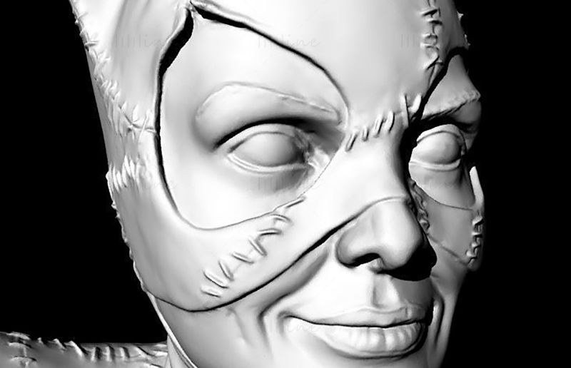 Catwoman Buste modèle 3D prêt à imprimer