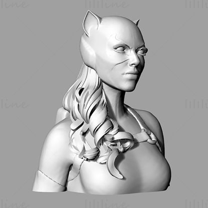 Catwoman Bust 3D Model Ready to Print STL