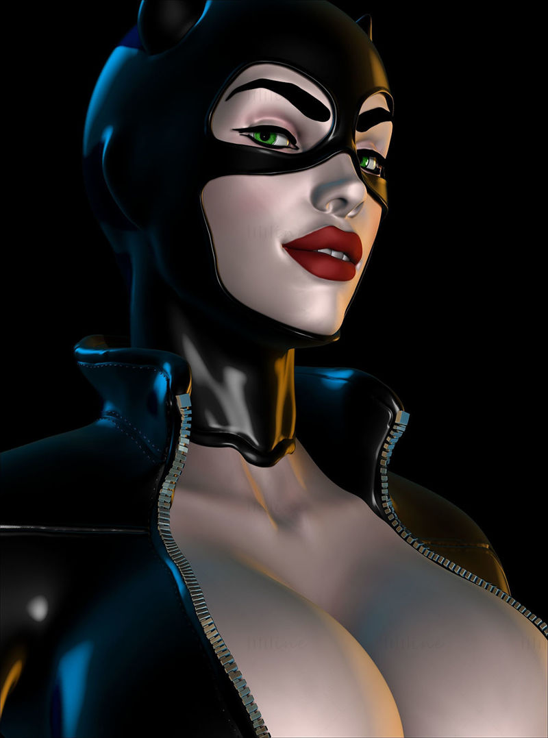 Catwoman Busto Modelo de impresión 3D OBJ