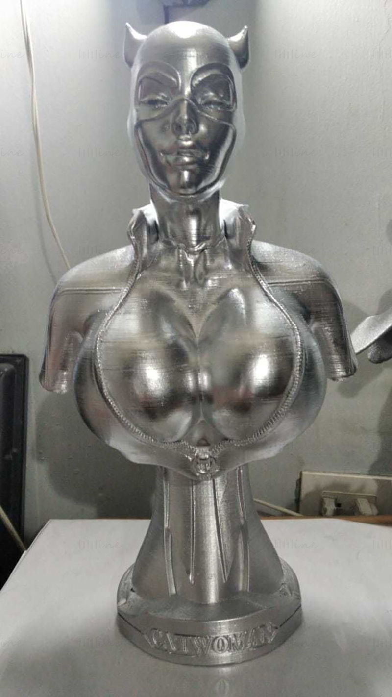 Catwoman Bust 3D Printing Model OBJ