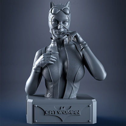 Catwoman Bust 3D Printing Model STL