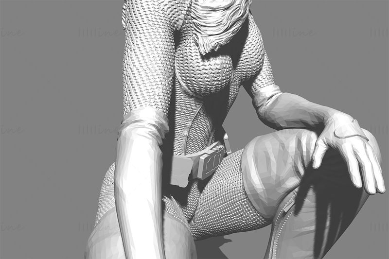 Catwoman - Dark Knight Rises 3D Printing Model STL