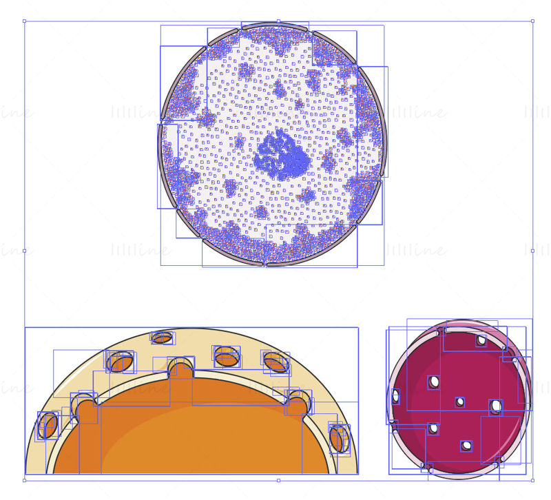 Vettore del nucleo cellulare