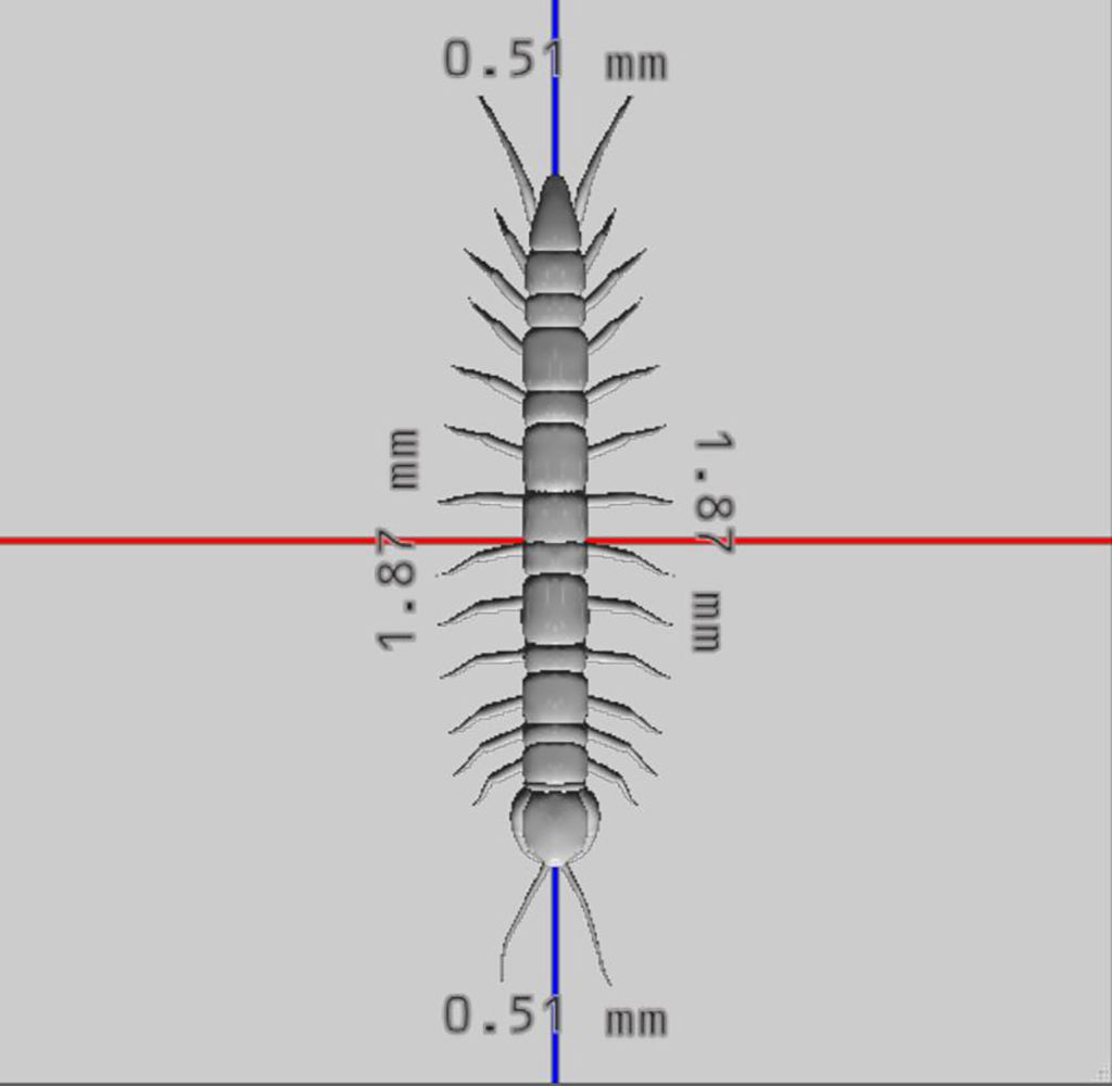 Centipede 3d model ready to print