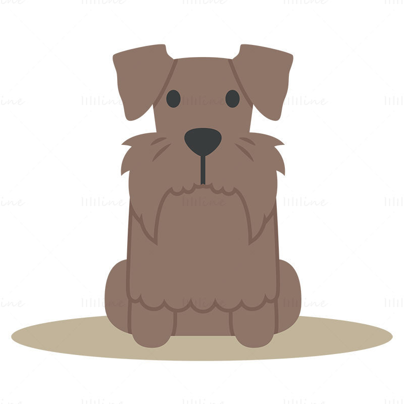 Cesky terrier dog vector