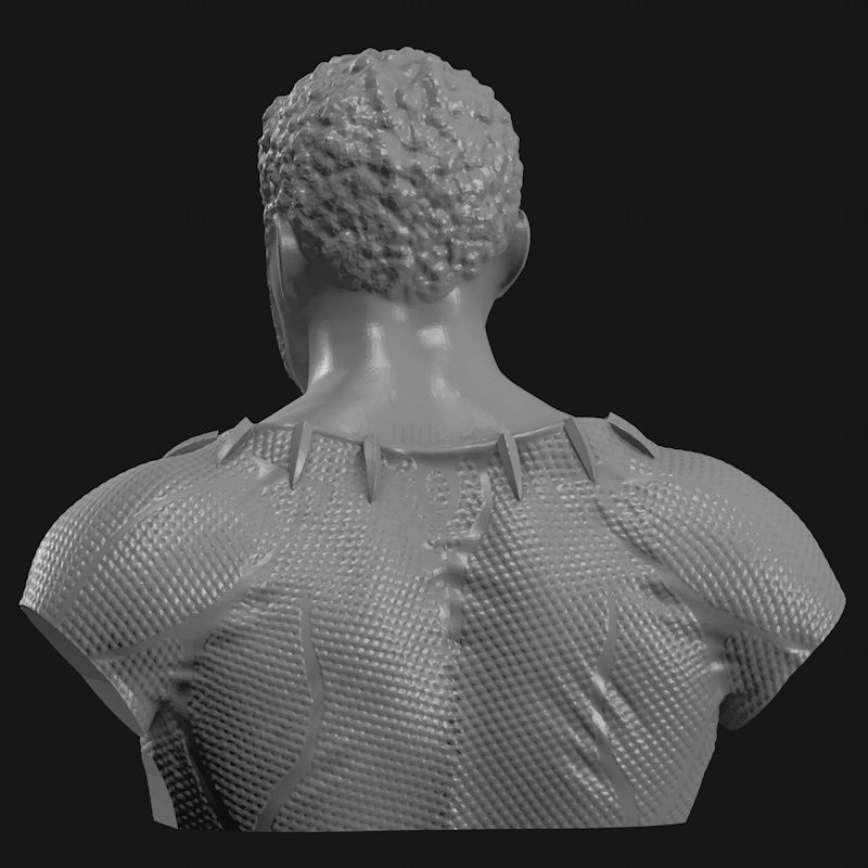 Chadwick Boseman BlackPanther modelo de impressão 3D