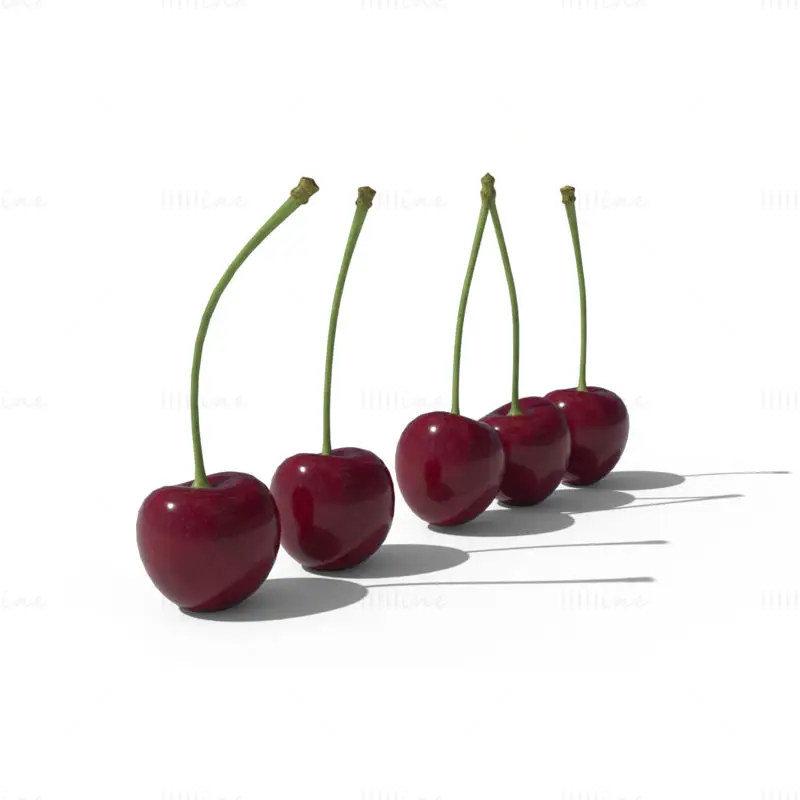 Cherries 3d model