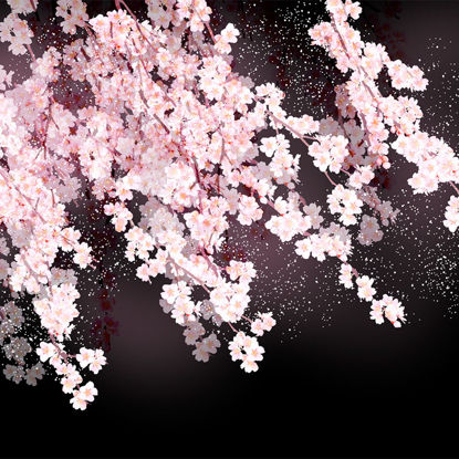 Ilustrace třešňového květu
