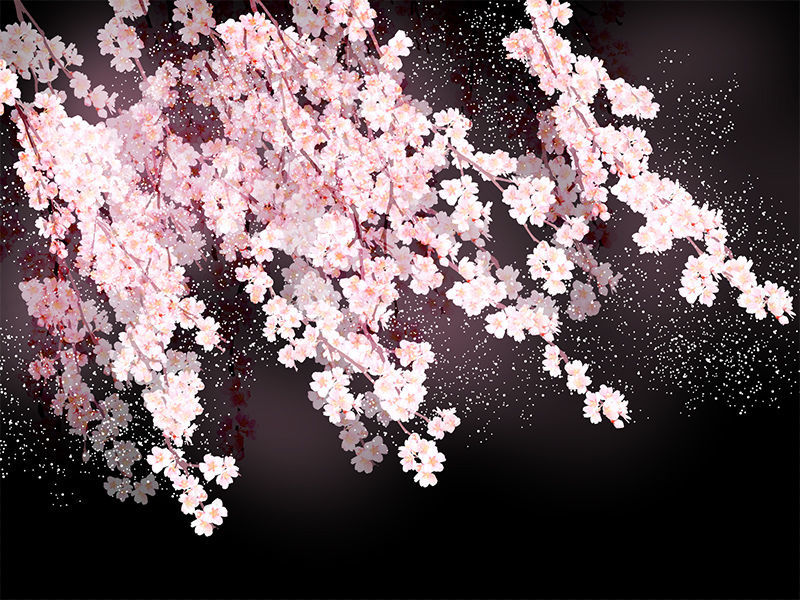 Illustration de fleur de cerisier