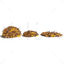 Cherry Leaf Pile 3D Model