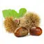 Chestnut image