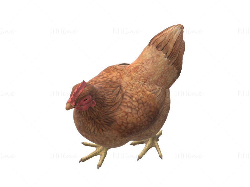 Chicken 3D Model Ready to Print