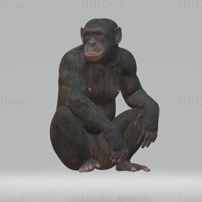 Modelo 3D de chimpanzé pronto para imprimir STL FBX OBJ