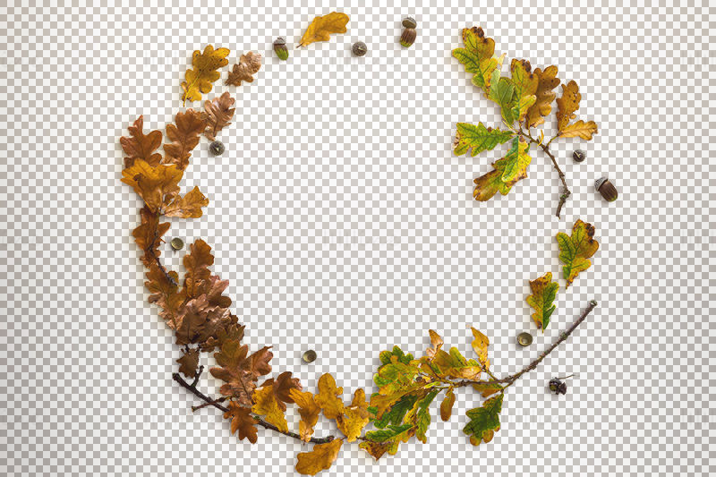 Cirkel van bladeren