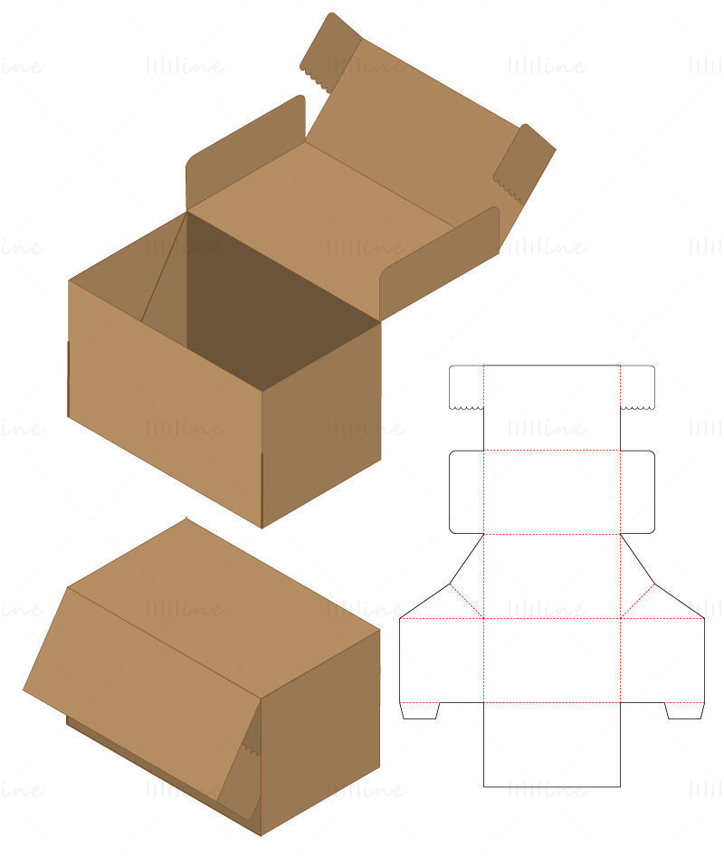 Clamshell packaging box dieline pattern vector
