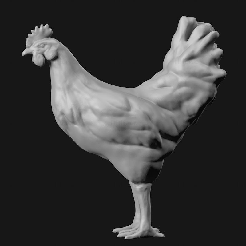 Model de imprimare 3d Cock