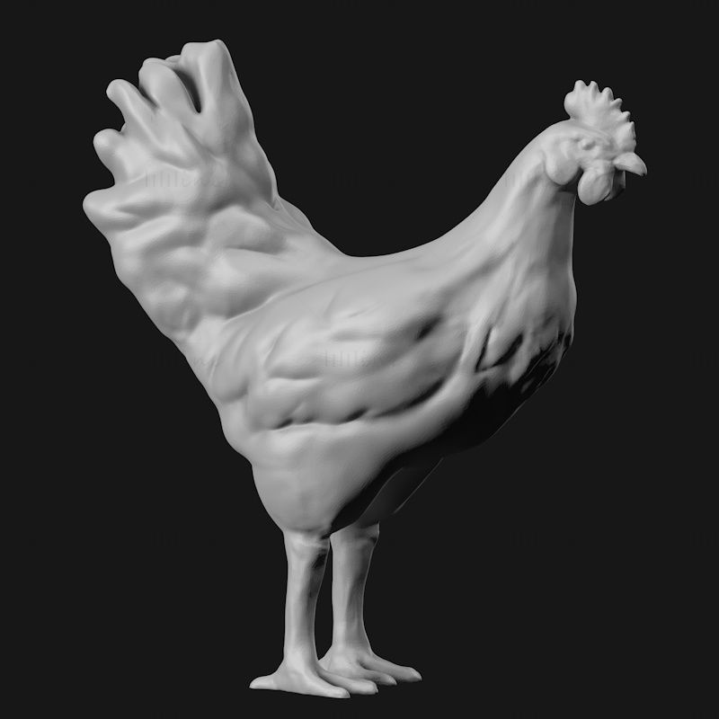 Cock 3d-utskriftsmodell