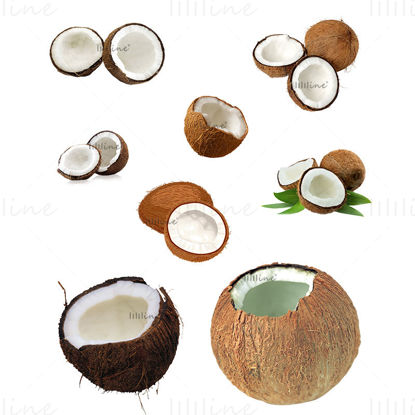 Coconut transparent png photo