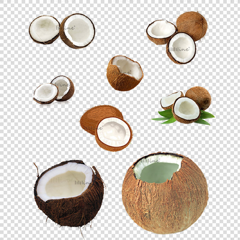 Kokosnuss transparentes Png-Foto
