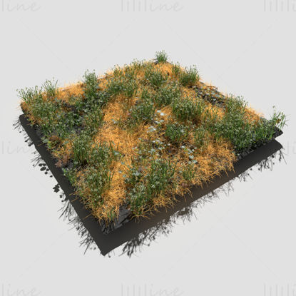 Common Snowdrop Meadow Patch 3D Model