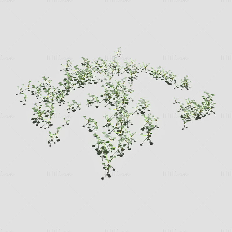 Common Snowdrop Meadow Patch 3D Model