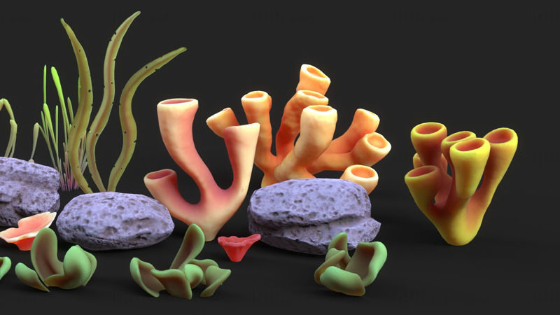 نماذج ثلاثية الأبعاد منخفضة المضلع للشعاب المرجانية