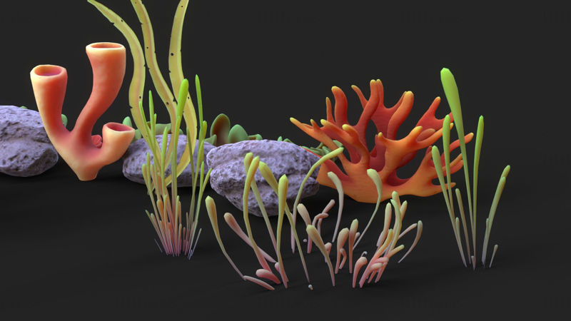 Coral Reef Low-polygon 3D Models