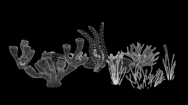 Coral Reef Nízkopolygonové 3D modely
