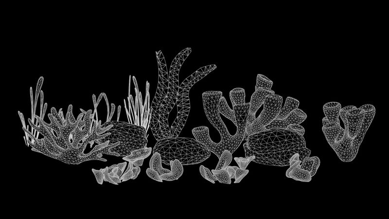 Modèles 3D de récifs coralliens à faible polygone