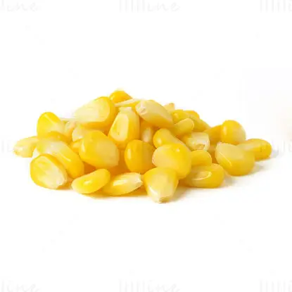 Corn Kernels image